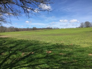 Property photo 22 - REAL ESTATE & LAND AUCTION - 105+/- ACRES IN 4 TRACTS IN BUTLER COUNTY, OHIO